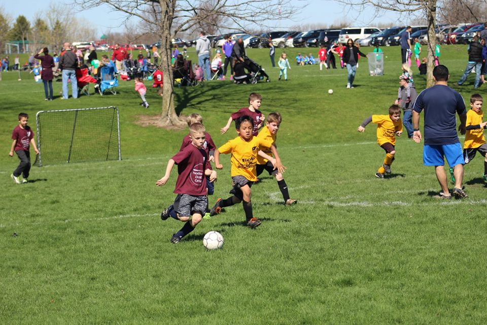1 Day Left to Register for  the 2019 Fall Rec Program! 
Winona Registration- minnesotarush.com/Default.aspx?t…
Rochester Registration- minnesotarush.com/Default.aspx?t…