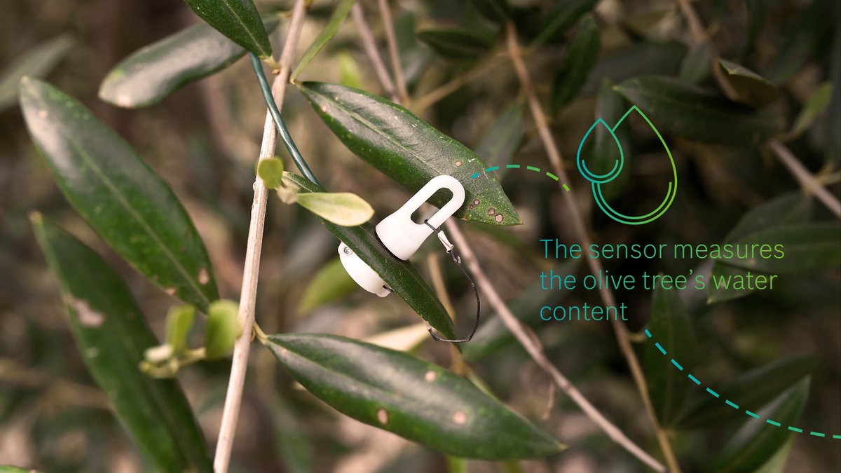 BoschGlobal tweet media