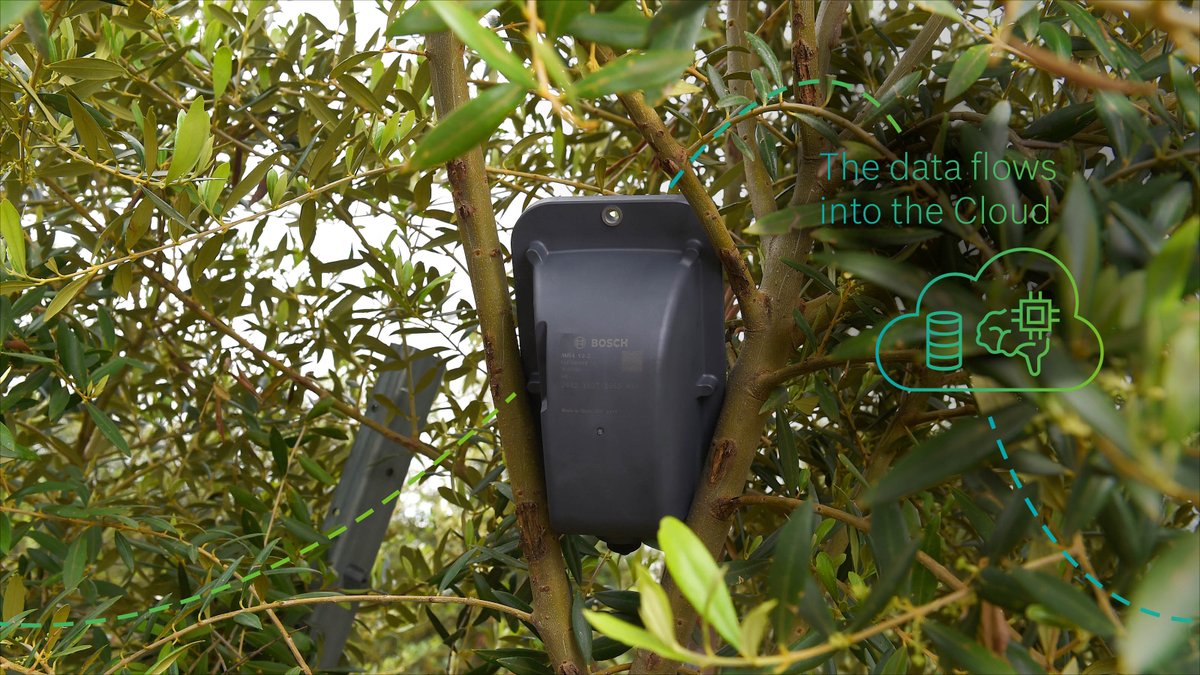 BoschGlobal tweet media