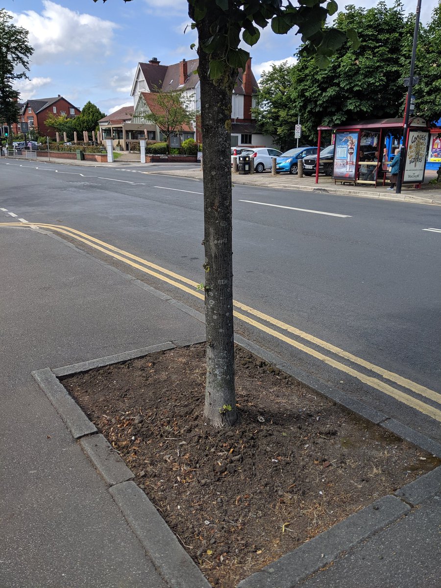 RoraRoundhay tweet media