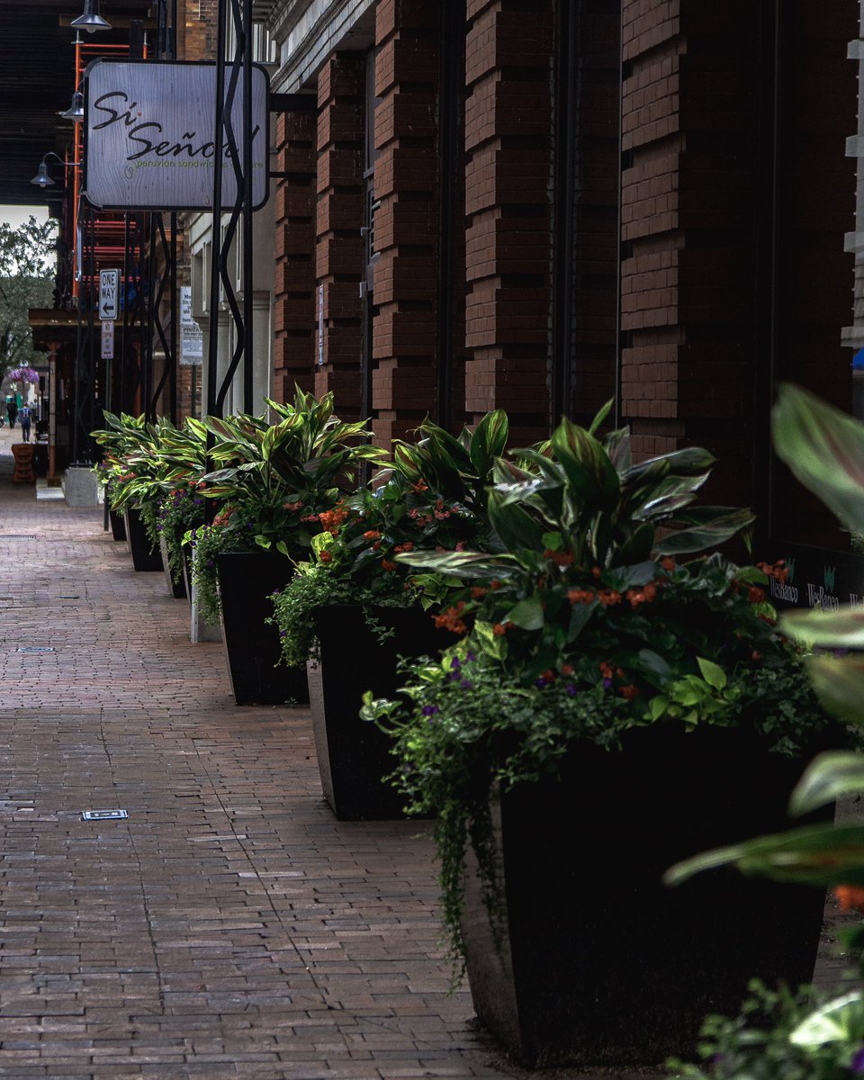 Una visita a una gran ciudad, Columbus, Ohio.

instagram.com/p/Bz0qSMtpbyG/…