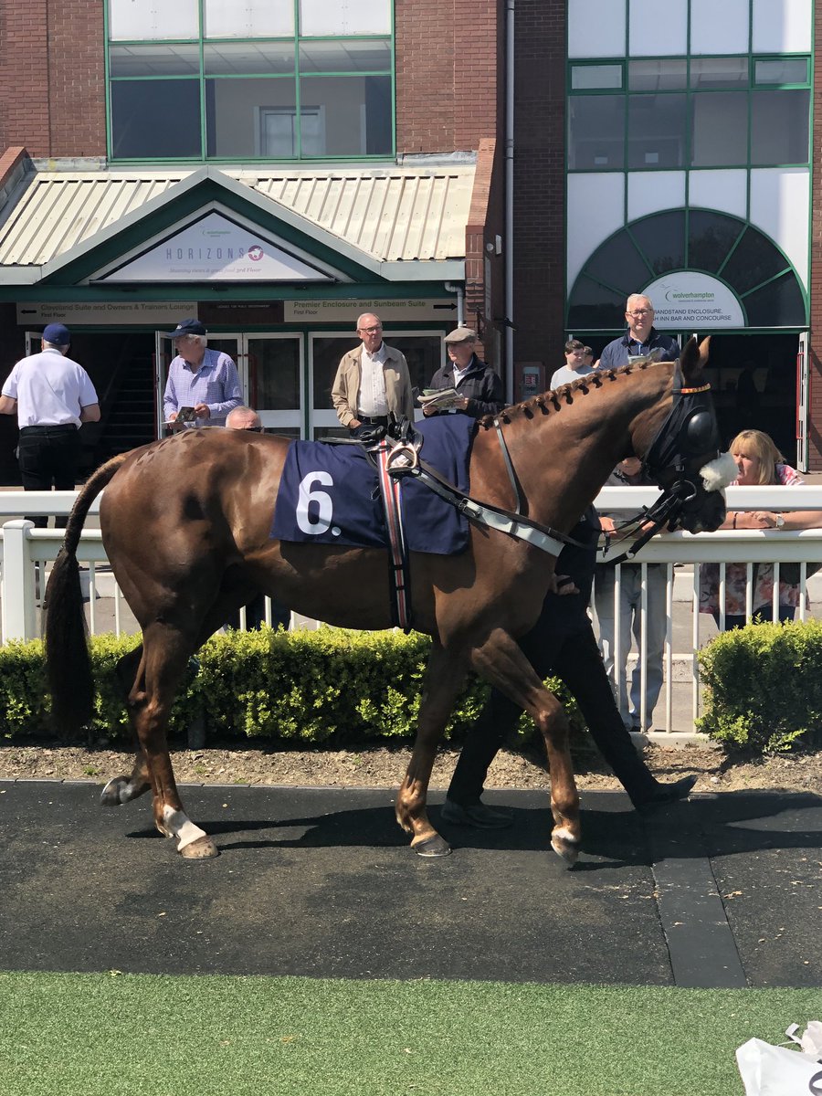 PremierRacing2's tweet photo. Celtic Artisan has been declared to run on Tuesday at @NottsRacecourse. We’re pleased to have @MccainElla back on board one of our horses. Good luck to all Owners. #Dylan https://t.co/qGohxC9U2V