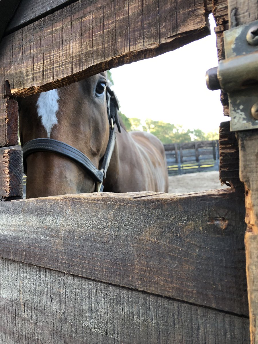 What are you looking at 👀👀 #looking