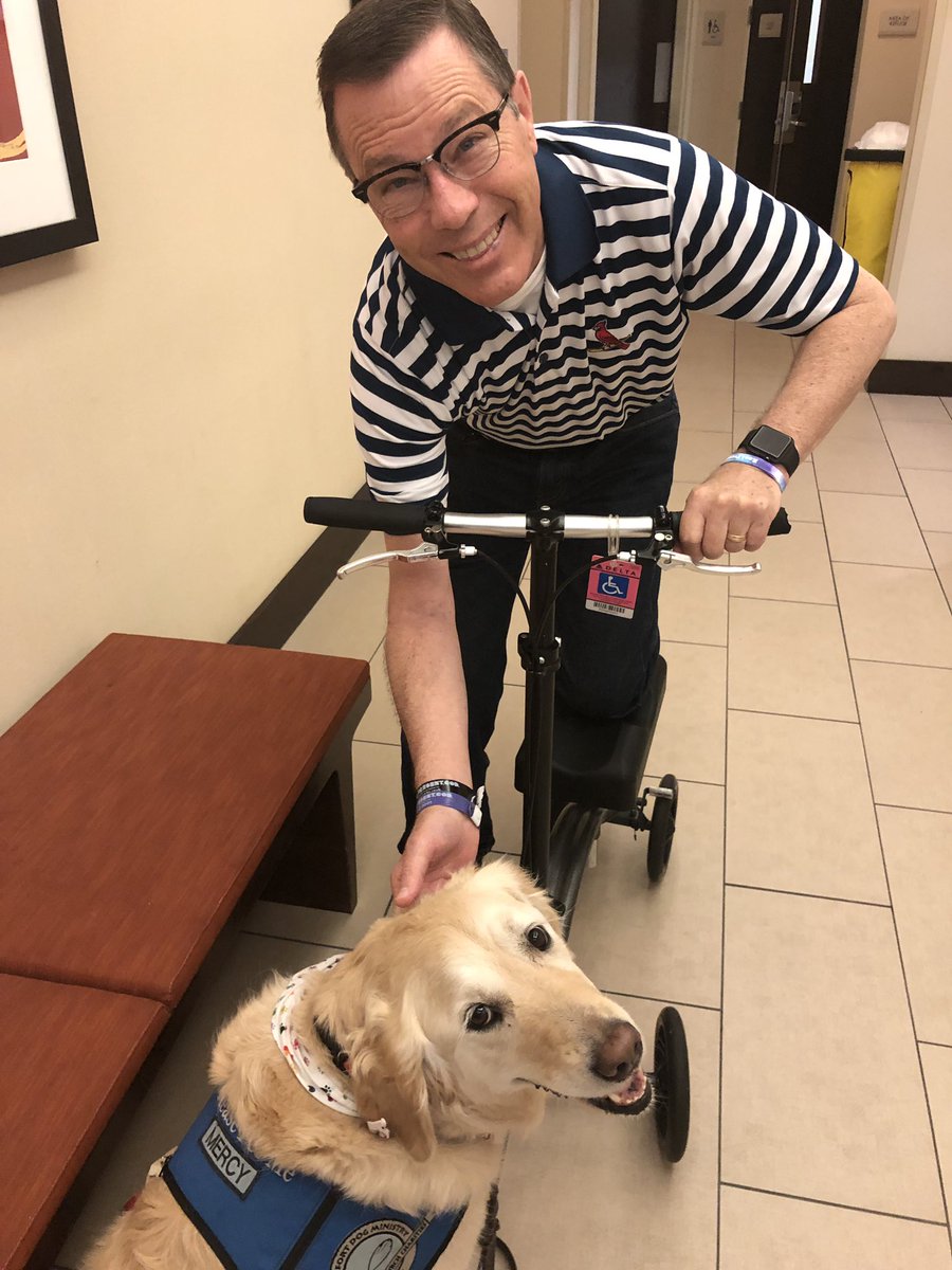 AmyScholz's tweet photo. Marry a man who loves @K9ComfortDogs as much as you do. ❤️ https://t.co/QNKDJDFsQj