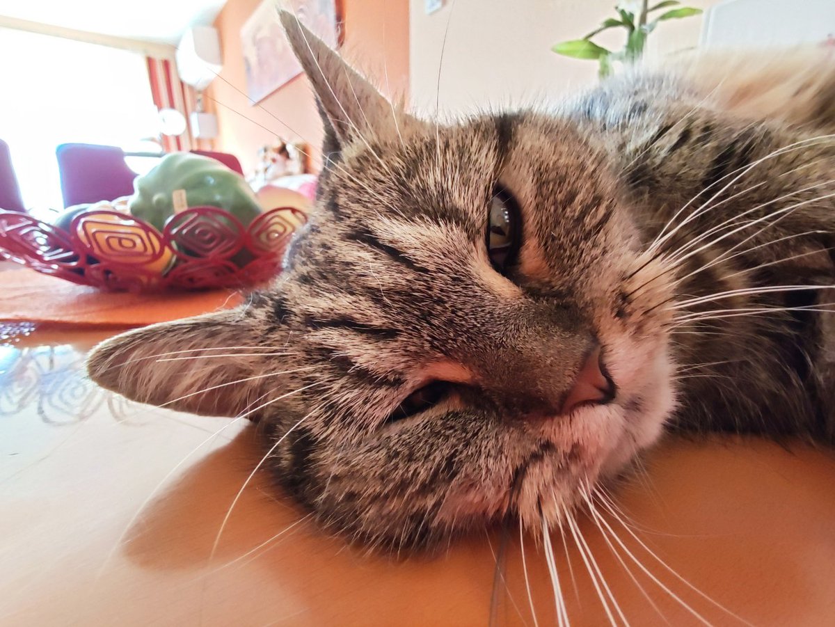 [Bild: D_ccEEGXsAE4baS.jpg]