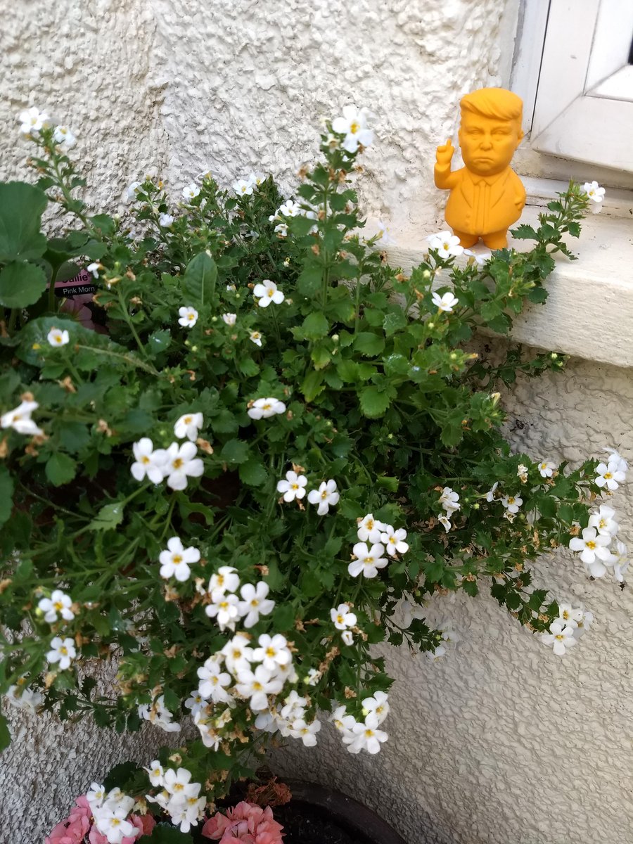 President <a href="/realDonaldTrump/">Donald J. Trump</a> in front of our <a href="/WhiteHouse/">The White House</a> 

#flowerpower