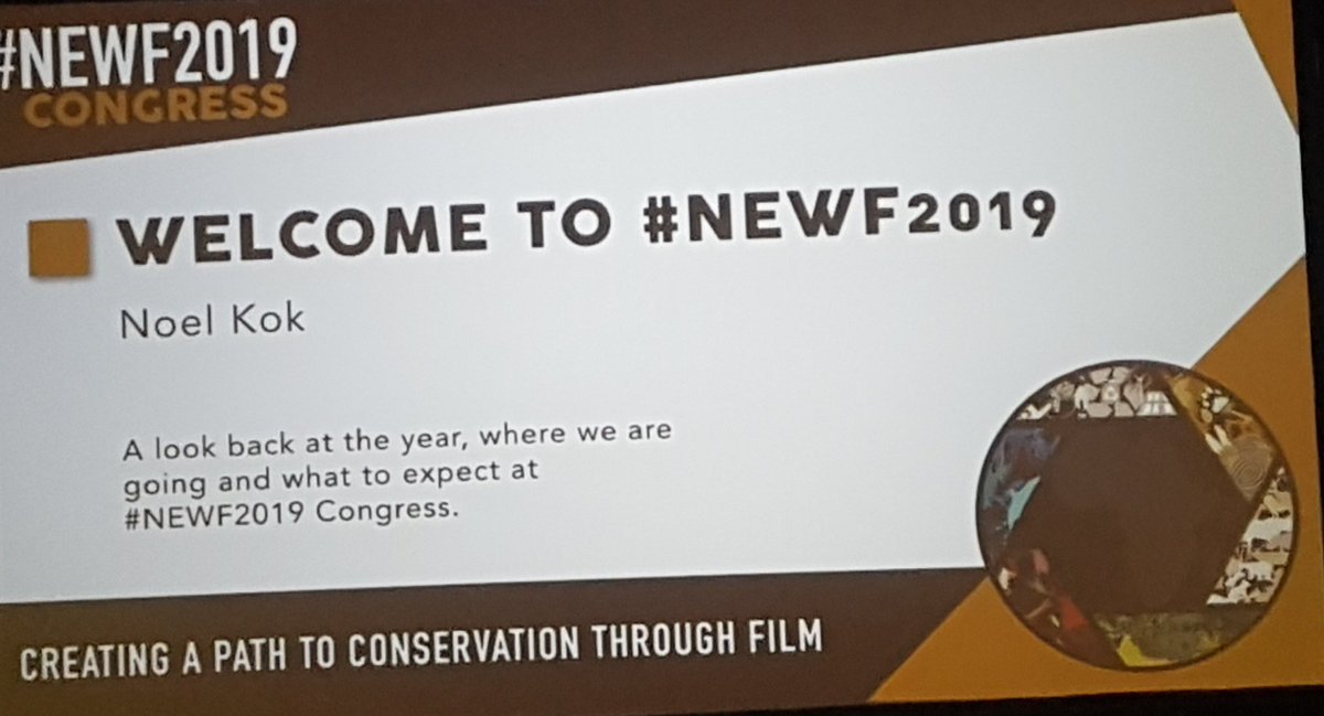 WCTRainmaker's tweet photo. #PARTNERSHIPS, #MakingaDifference

The Nature, Environment &amp; Wildlife Filmakers Congress 2019 is here.... 

@WILDLANDSSA @WILDOCEANSSA 
@newfcongress https://t.co/1MvpEygkXP