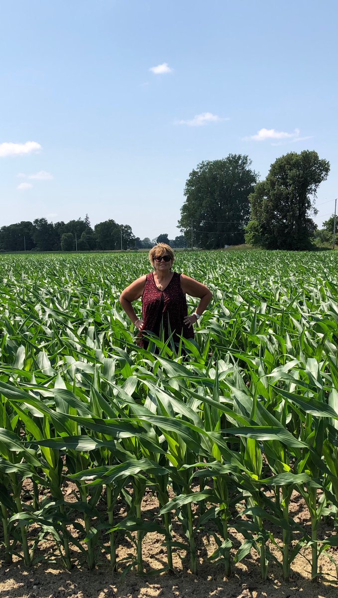 handsorl's tweet photo. Another week of good growing weather #plant19 #corn2019 @AgMoreThanEver @FCCagriculture https://t.co/ynLM8OXbpv