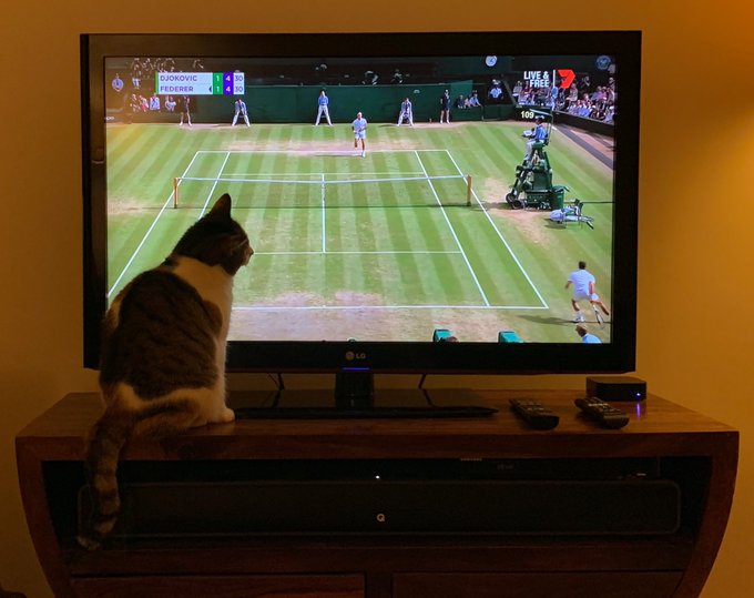 I guess I don&rsquo;t get the front row seat this year #trippadoo #downinfront #Wimbledon https://t.co/TM3<a href="/tag/wimbledon"class="tags"><span>#wimbledon</span></a><a href="/tag/trippadoo"class="tags"><span>#trippadoo</span></a><a href="/tag/downinfront"class="tags"><span>#downinfront</span></a>