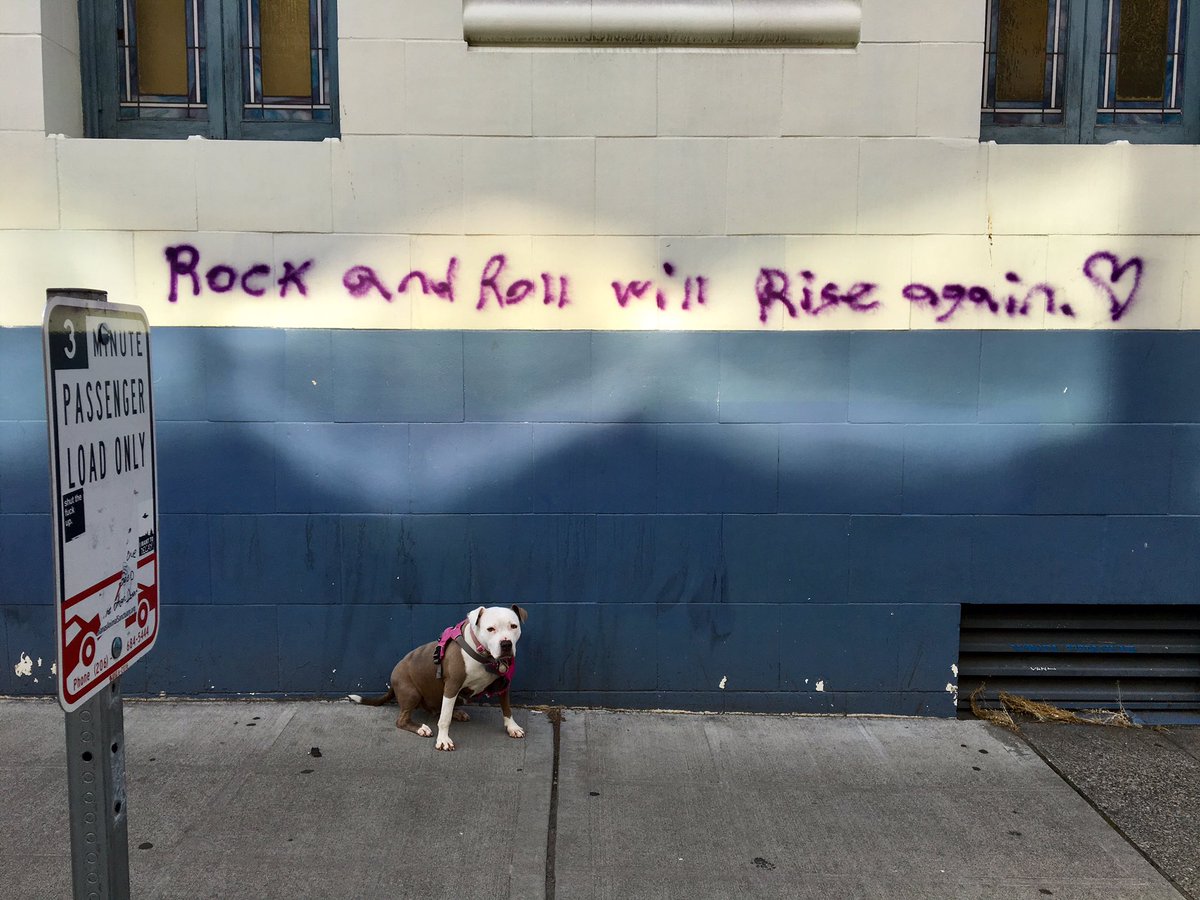 A message from Lambeau #RockNRollPitbull