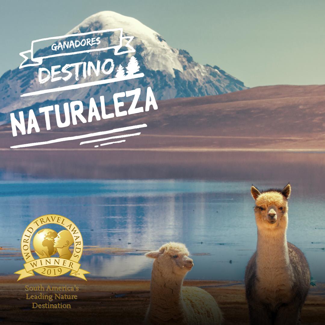 Más de 100 parques, reservas y monumentos naturales, 4 mil kilómetros de costa, 7.490 glaciares y más de 160 ríos de norte a sur. ¡Chile Mejor Destino de Naturaleza de Sudamérica en los World Travel Awards 2019!  🙌🏻
.
#WTA #ChileEsTuyo #ViajaPorChile