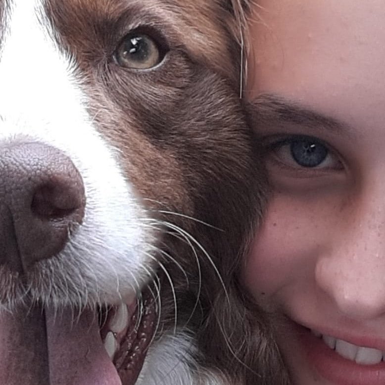 BorderCollieRed's tweet image. Magic bond between these two ❤❤ #bordercollies #DogsMostWanted #dogs #dogmodeling #dogoftheday #mydogiscutest #london