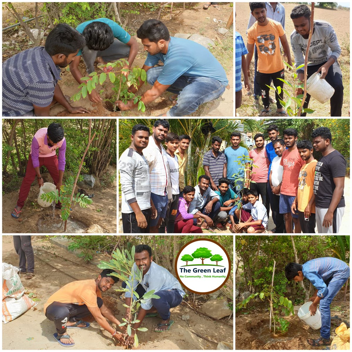 TheGreenLeafIND's tweet photo. Today few saplings planted @ #Thippepalli_Village,Hosur..
.
.
#Greenchallenge🤝 #GoGreen🍃 #Saplings🌾 #Mansoon🏞️ #NatureBeauty🛣️ #Seeds🥑 #Forest🌳 #GreenPlants🌱 #EcoFriendly♻️ #TheGreenLeaf🌿#Thippepalli_Hosur🌇 https://t.co/bWSiXBghvJ