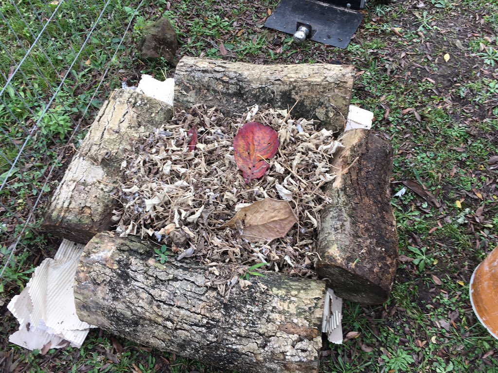 wakundamm's tweet image. Ya recordé por qué fracasó mi experiencia #Compostera hace unos años atrás.
Tenía albañiles en casa. Un día uno de ellos posteó foto de enorme Dorado pescado con lombrices Californianas.
¿A que no saben de dónde salían esas lombrices?