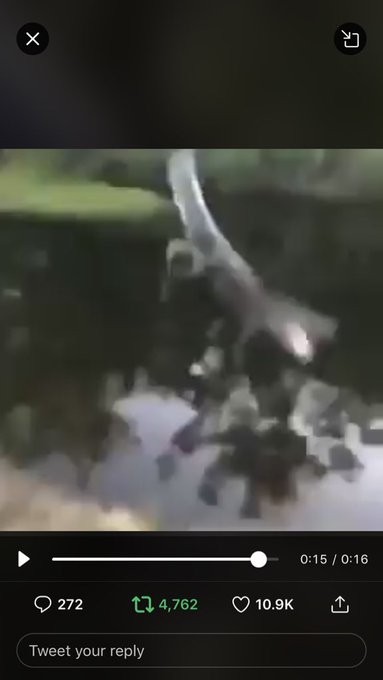 https://t.co/NUmWVtAhFp