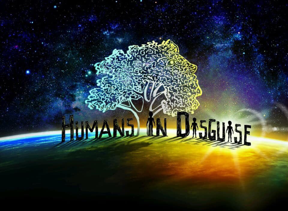 GatorJoes's tweet photo. Humans in Disguise will be performing live from 4-8 today!!! #BestOnTheLake https://t.co/4yc435gFjn