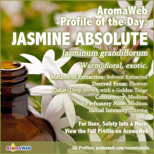 AromaWeb's tweet photo. Jasmine Absolute is AromaWeb's Aromatic Profile of the Day. Learn about its aroma, uses, and safety info by clicking this link and viewing the full profile on AromaWeb: https://t.co/QcrXk4CArQ #aromatherapy #jasmine #jasmineabsolute https://t.co/gxni1OpSvX