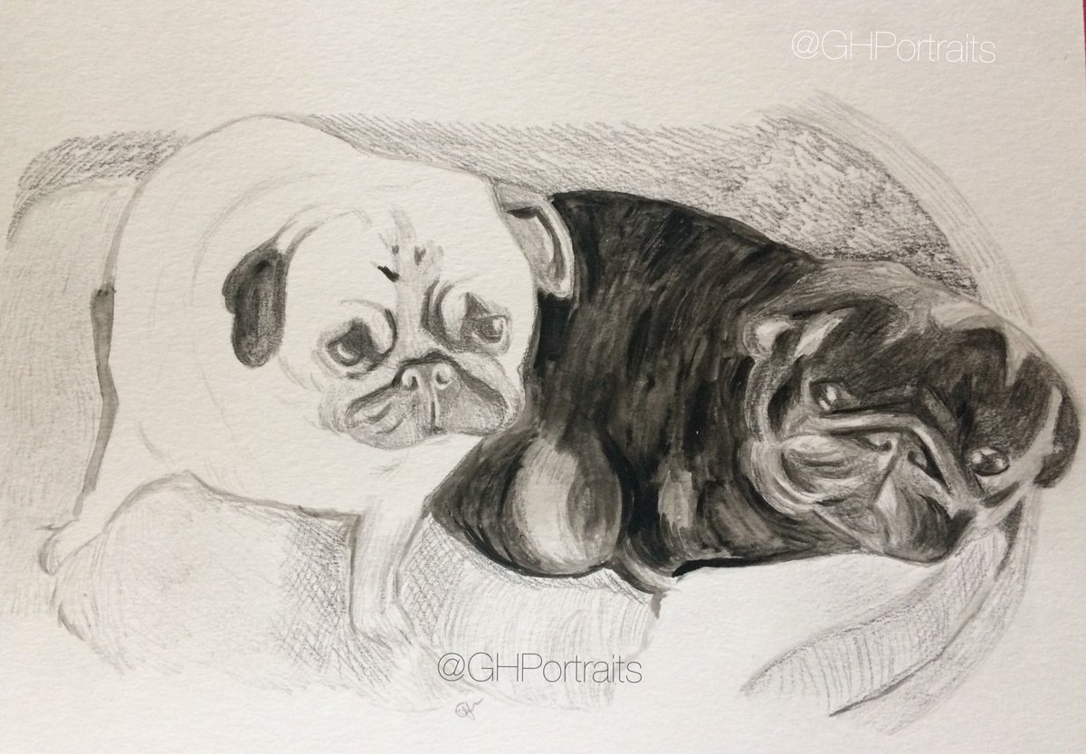 My little art piece of @MrBarryLewis beautiful pugs,Amy & Boston 🐶❤️🐶❤️ #BarryLewis #AmyAndBoston #pugs #watercolour #pencil #mixedmedia #myart ✨