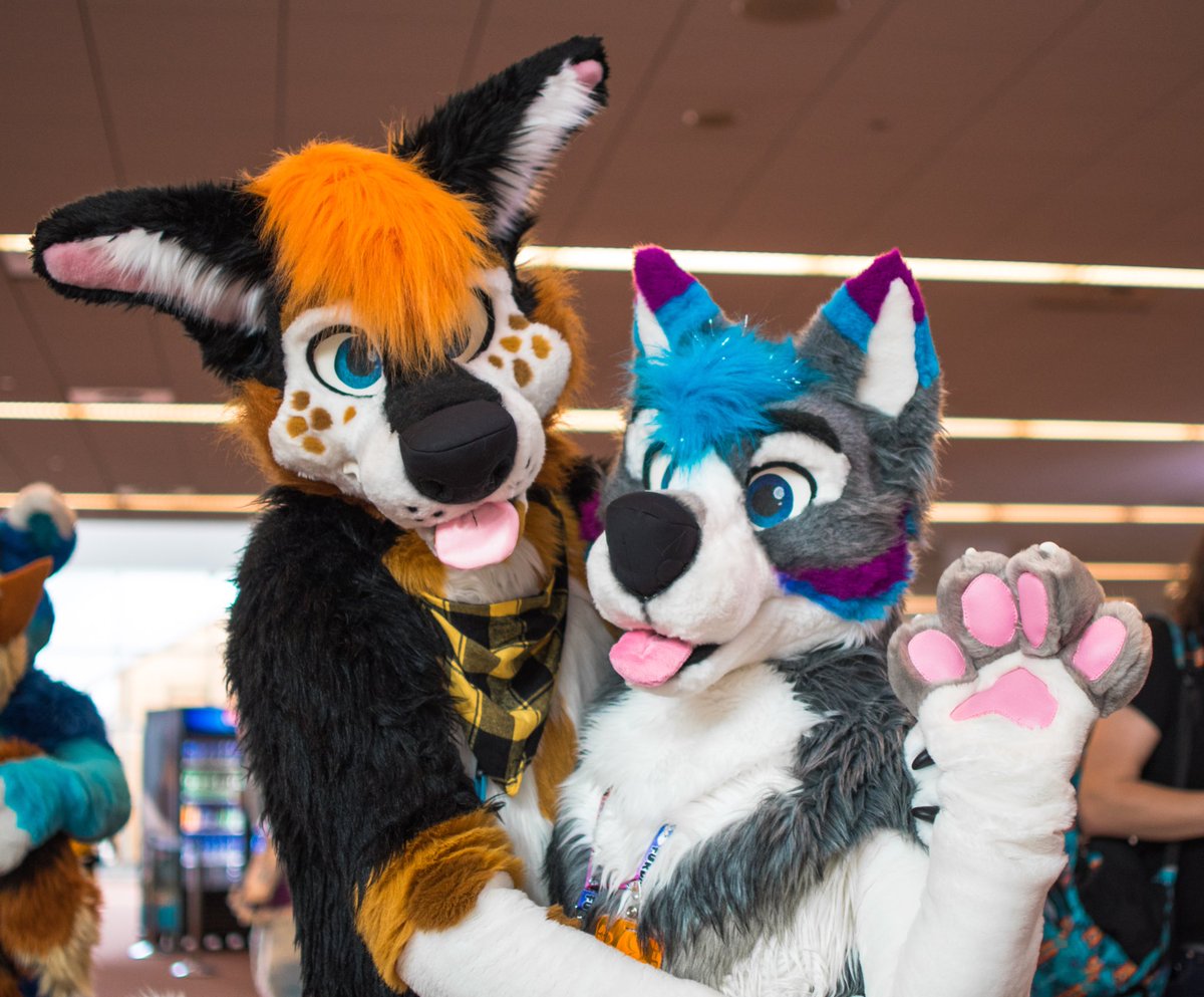 ShaxyDoggeh's tweet photo. This dawwwgy found a cute husky doggy @Taubu_Lion at #AC2017 🧡
Wonderful pic by @Stilt_butt :D https://t.co/LpRNdAJ7ku