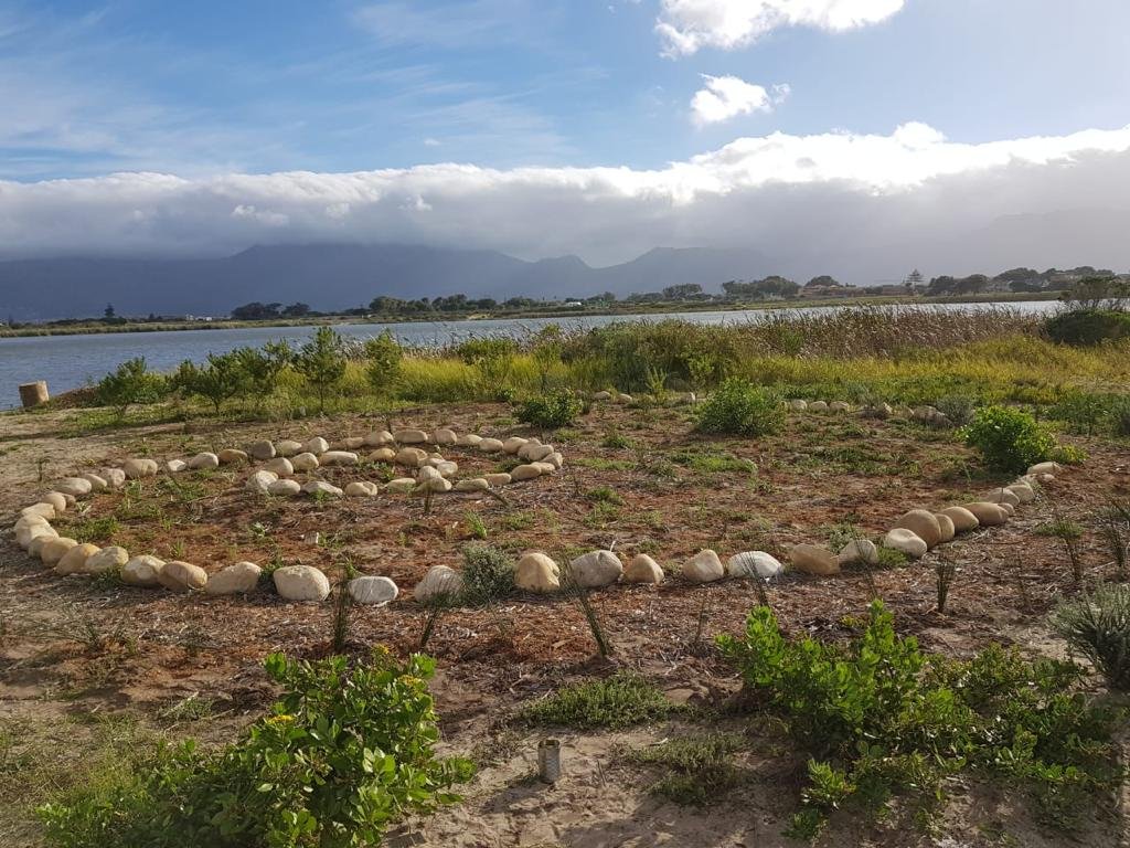 plant_wisperer's tweet photo. Our special garden at Princess Vlei has been rehabilitated!
#fynbos
#princessvlei
#communitygarden https://t.co/A14WJHh7IW