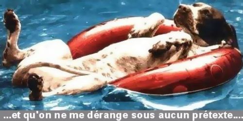 Mort de rire tweet media
