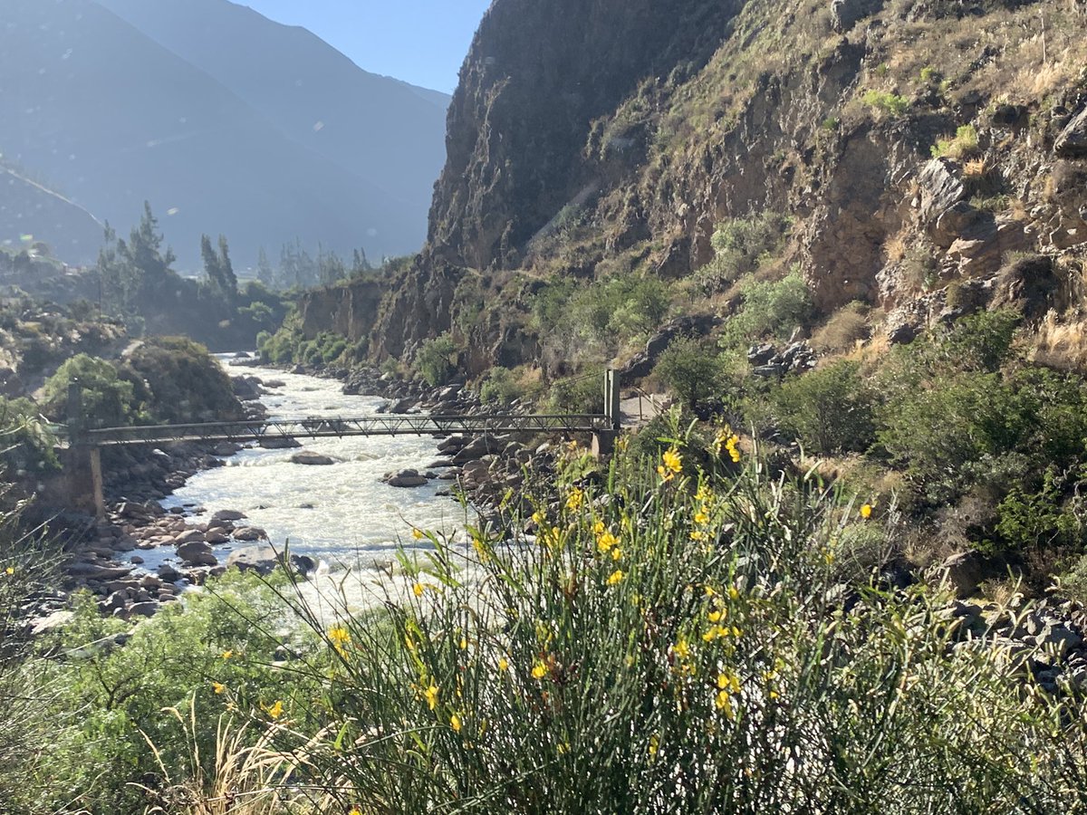ShannonSeigle's tweet photo. Amazing views from our 360 Expedition train ride from Cusco, Peru to Aguas Calientes, Peru (at the base of Machu Picchu). π΅πͺ #FFTFellow #stemcrewdoesperu @mrSTEMcredible @STEMcha @pefchattanooga @FundforTeachers https://t.co/1wtQfbMciR