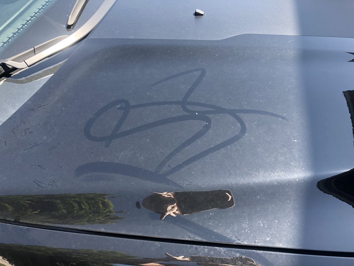 TL_Wheatley's tweet photo. Officially boycotting Esso! Went through the car wash 2x and still so dirty and won’t refund my money! @Esso_GB terrible service https://t.co/5UHFtqaji8