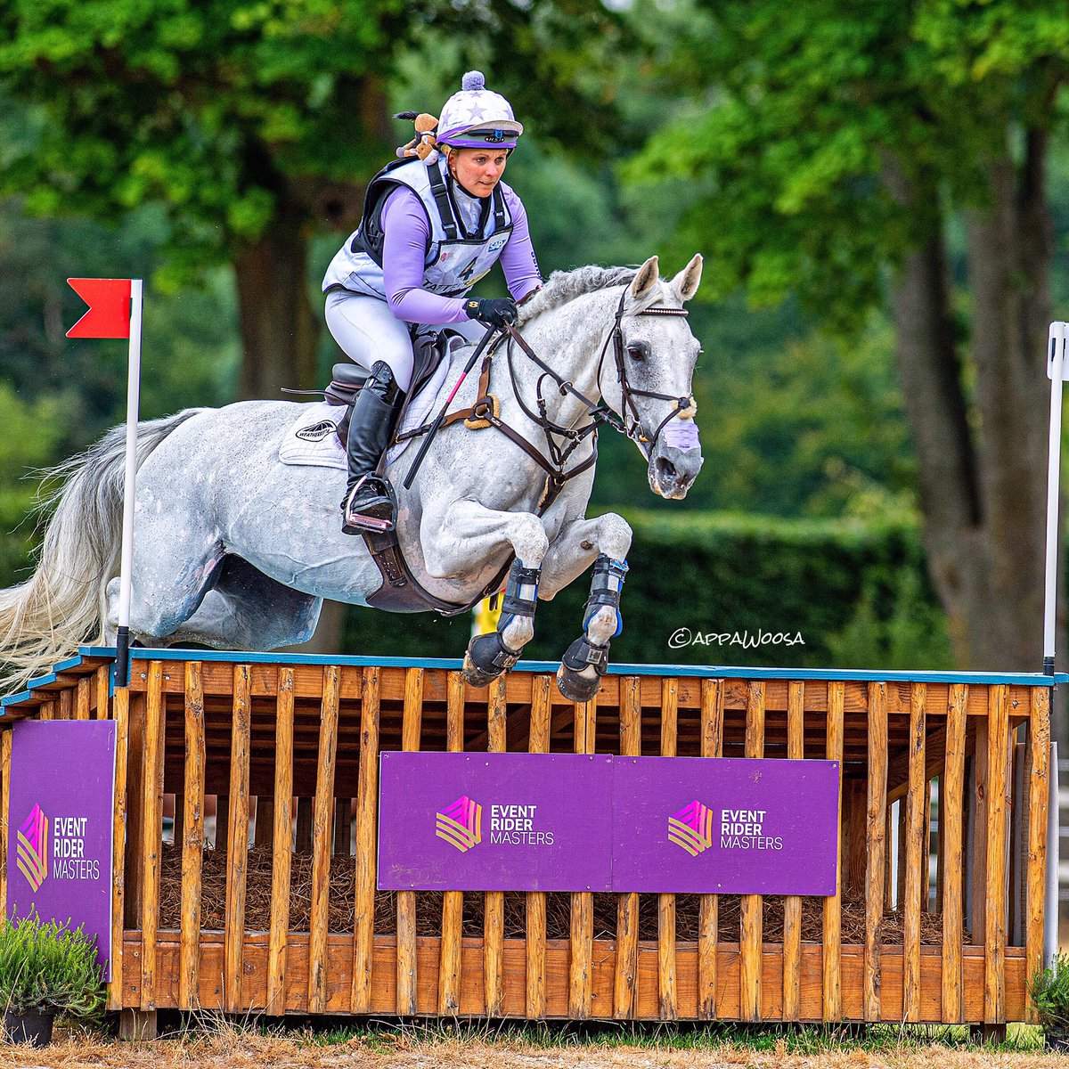 appaWoosa tweet media