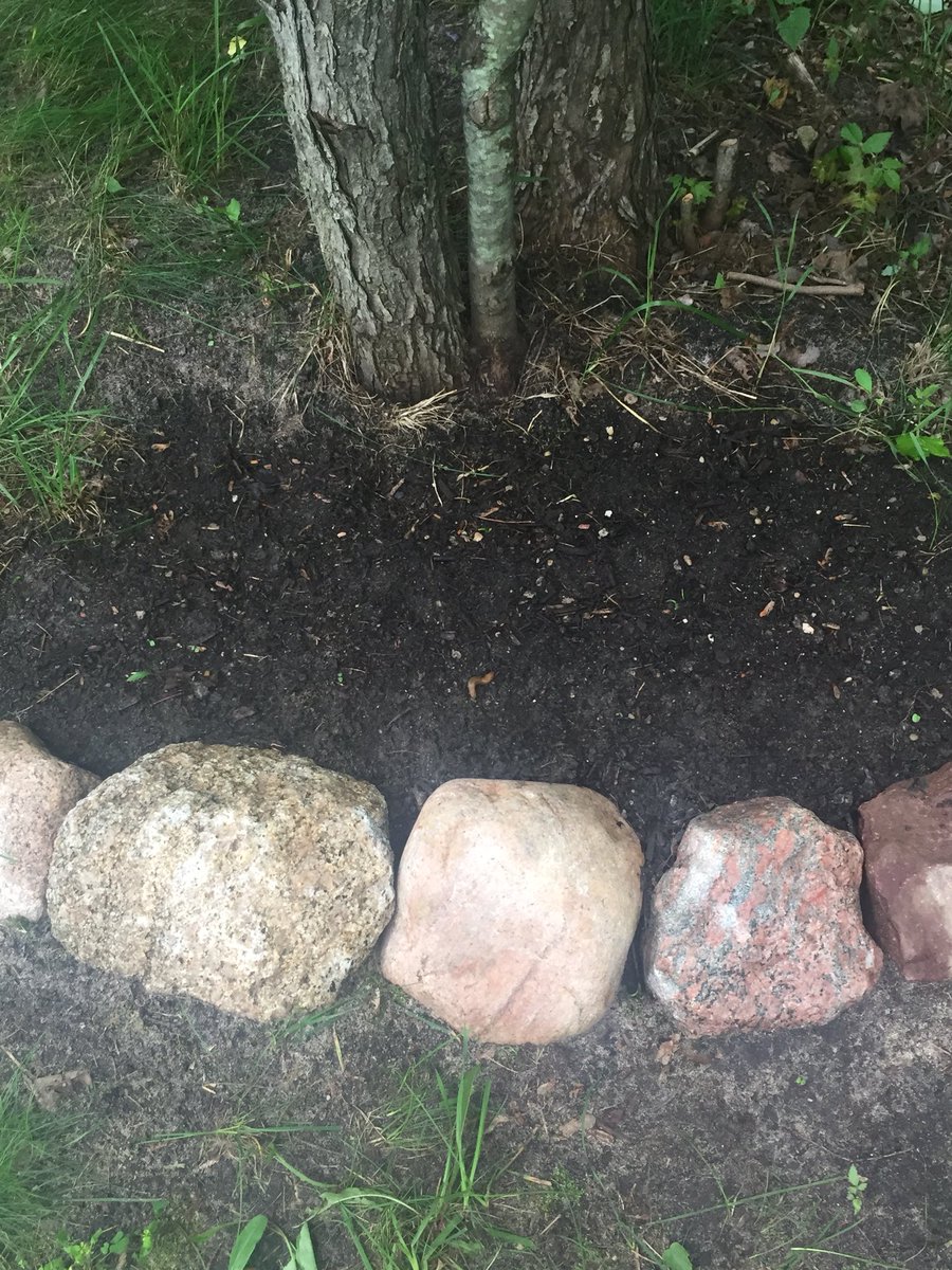 landscaping_w's tweet photo. No landscaping is ever to small. The smallest landscaping makes a big difference in any yard! @CityofTC @Elk_Rapids @4torch @TC_lifee @kalkaska #landscaping #gardenlife https://t.co/7zHLVxNexv