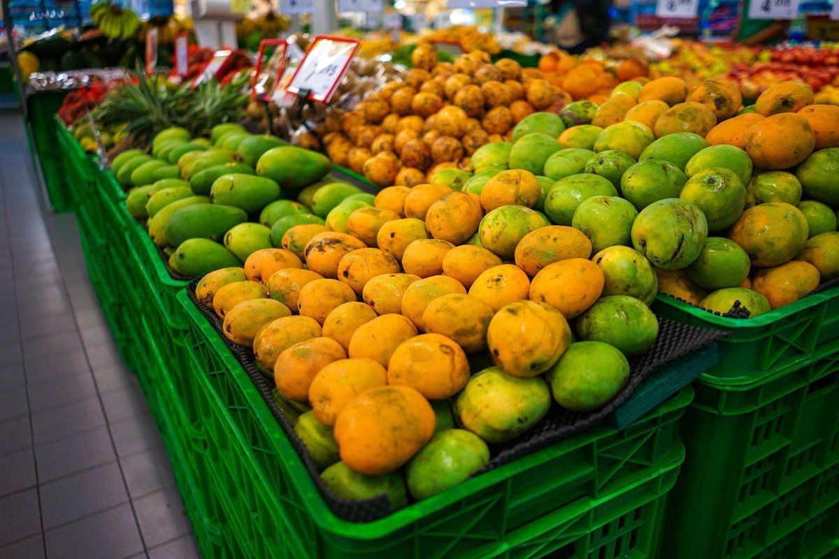 FAO's tweet photo. 1.3 BILLION tonnes of food is wasted every year. We can:
๐Shop smart
๐
Understand dates on food
๐Buy 'ugly' fruit and vegetables
What are your tips to reduce #foodwaste?
#ZeroHunger https://t.co/aTUpykzkwy