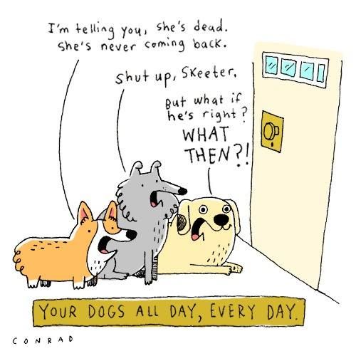 HumaneFremont's tweet photo. It's true, no matter what kind of day you had at work, if you have a dog or dogs at home waiting for you they will be glad to see you.
If you're coming home from work to an empty house, we have just the remedy for you: adopt a dog at the HSFC!
#saveum https://t.co/3fU1LYzsc4
