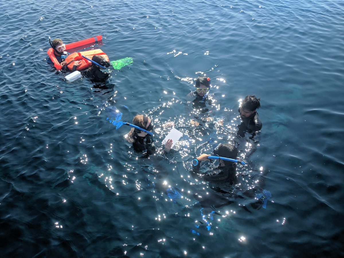 HAEC_Croatia's tweet photo. All divers have progressed to the open water stage of their training. Well done! https://t.co/bQVrLgVjWZ