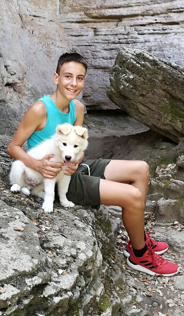 Quin parell de "socis i sabuesos"... #BorderCollie #CorderCollie