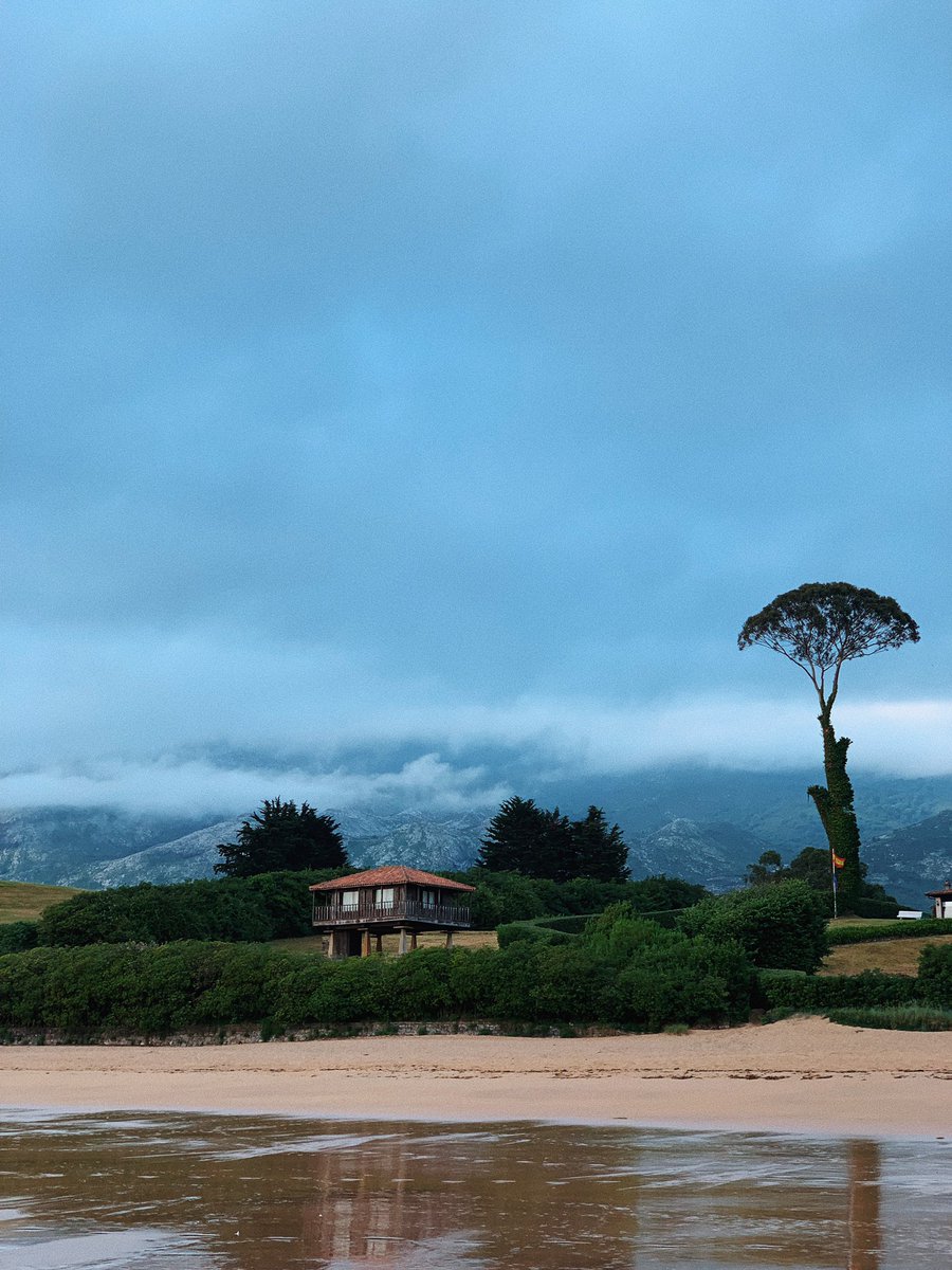 whodsuw's tweet photo. mae mía asturias bájale https://t.co/ZuZ7XJrUp5