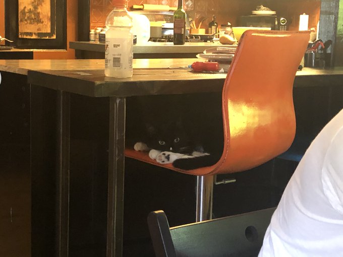 Lydia is the darkness 🌙 https://t.co/ywIq77DHeE