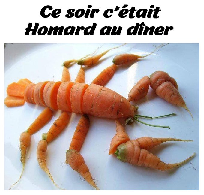 jeanluceagles's tweet photo. @karine_redinger #giletsjaunes
#Homarjarrif !! https://t.co/yuC4yxcwH2