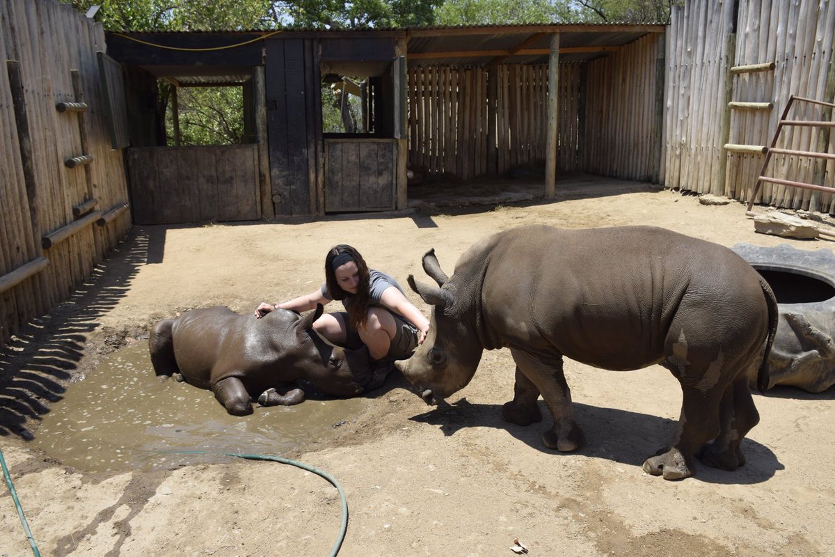 'Animal orphans: kittens, primates, rhino and more.'
Extra talk by final year Bioveterinary Science student Laura Davies!
8 pm Friday 19th July <a href="/TheLockkeeperC/">Thelockkeeperchester</a>