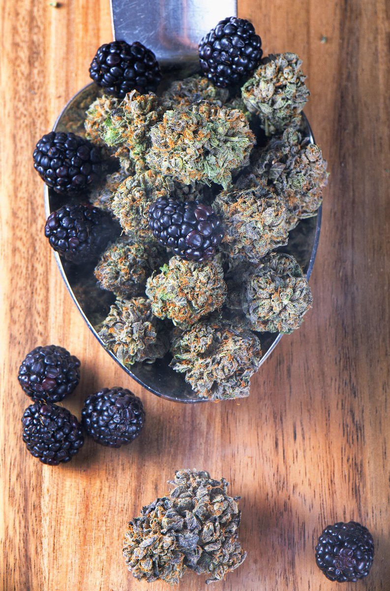 CannopolyApp's tweet photo. Sunday Funday! Brunch is never complete without a doobie! https://t.co/7duGvMzkOD