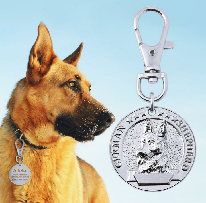 JoJosWorldStore's tweet photo. Custom and Engraved Stainless Steel Dog ID Tag Collar Accessory🐾

Available at: https://t.co/sMGdsxMocY
_______
#dogtags #idtags #dogshopper #dogshop #onlineshop #goldenretriever #husky #frenchbulldog #germanshepherd #labradorretriever #freeshippingnationwide #TeamJoJosWorld https://t.co/5dkAjmyr1u