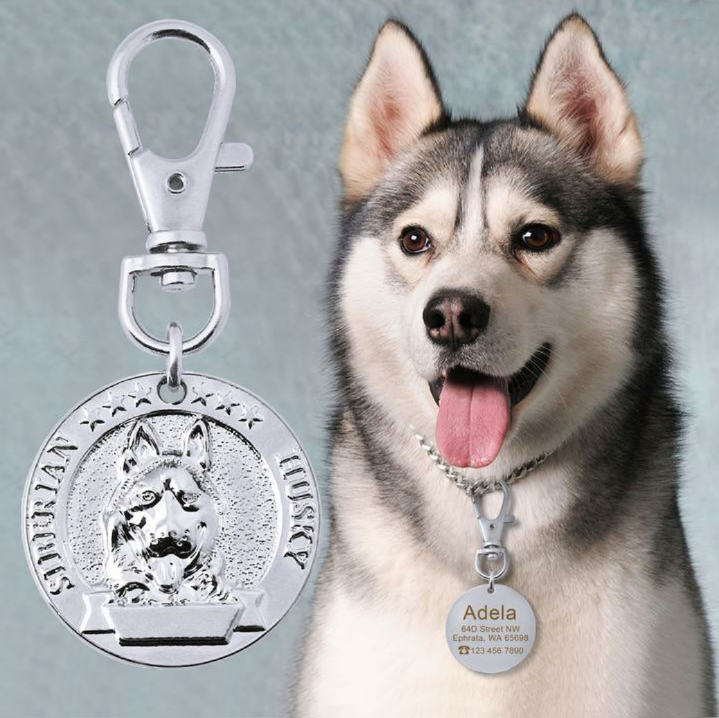JoJosWorldStore's tweet photo. Custom and Engraved Stainless Steel Dog ID Tag Collar Accessory🐾

Available at: https://t.co/sMGdsxMocY
_______
#dogtags #idtags #dogshopper #dogshop #onlineshop #goldenretriever #husky #frenchbulldog #germanshepherd #labradorretriever #freeshippingnationwide #TeamJoJosWorld https://t.co/5dkAjmyr1u