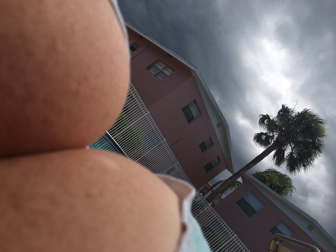 My neighbors love me... https://t.co/Lyg3neVG3E<a href="/tag/idothings"class="tags"><span>#idothings</span></a>