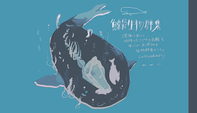 鯨に集う 