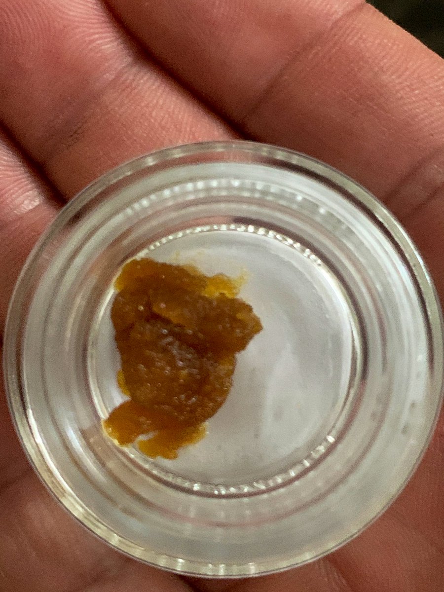 EmeraldZoo tweet picture