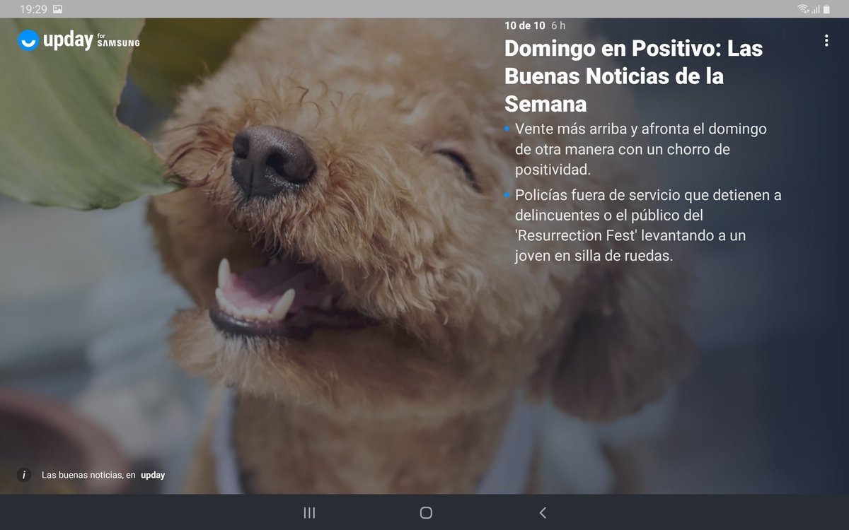 Ruben_Andres76's tweet photo. Abrir la app de @updayESP para ponerte al día y encontrarte con algo tal que así ya te cura de todo lo malo que pasa en el mundo. Enhorabuena @the_rafalution y resto del equipo. @axelspringer_es #springerthings https://t.co/LBQOT06l9a
