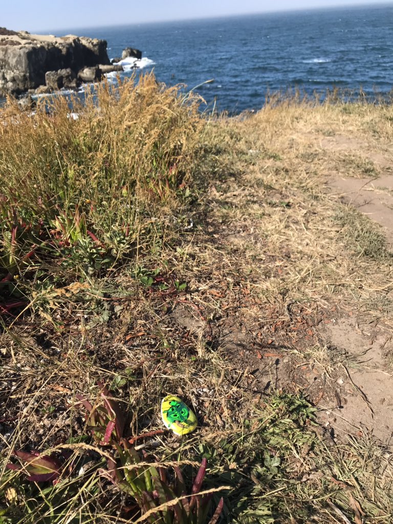 pinkdogrock's tweet photo. Releasing this lucky stone in Ocean Cove along Sonoma Coast, Ca. Safe travels and good fortune! #pinkdogrock #travelrock #paintedrocks #paintedstones #GoRockFun #GoRock #goodfortune #turtle https://t.co/b12Euk0ARy