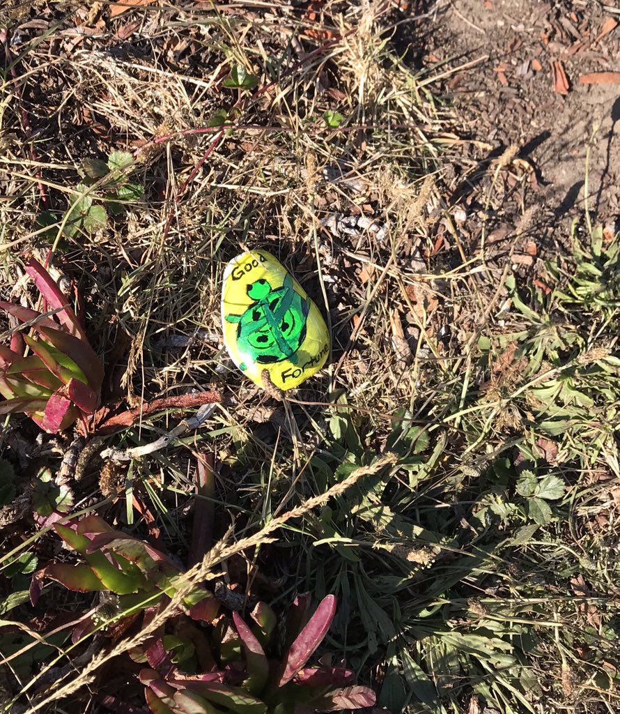 pinkdogrock's tweet photo. Releasing this lucky stone in Ocean Cove along Sonoma Coast, Ca. Safe travels and good fortune! #pinkdogrock #travelrock #paintedrocks #paintedstones #GoRockFun #GoRock #goodfortune #turtle https://t.co/b12Euk0ARy