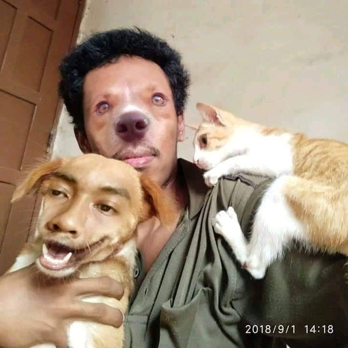 Babaca (@oobabaquinha) on Twitter photo 