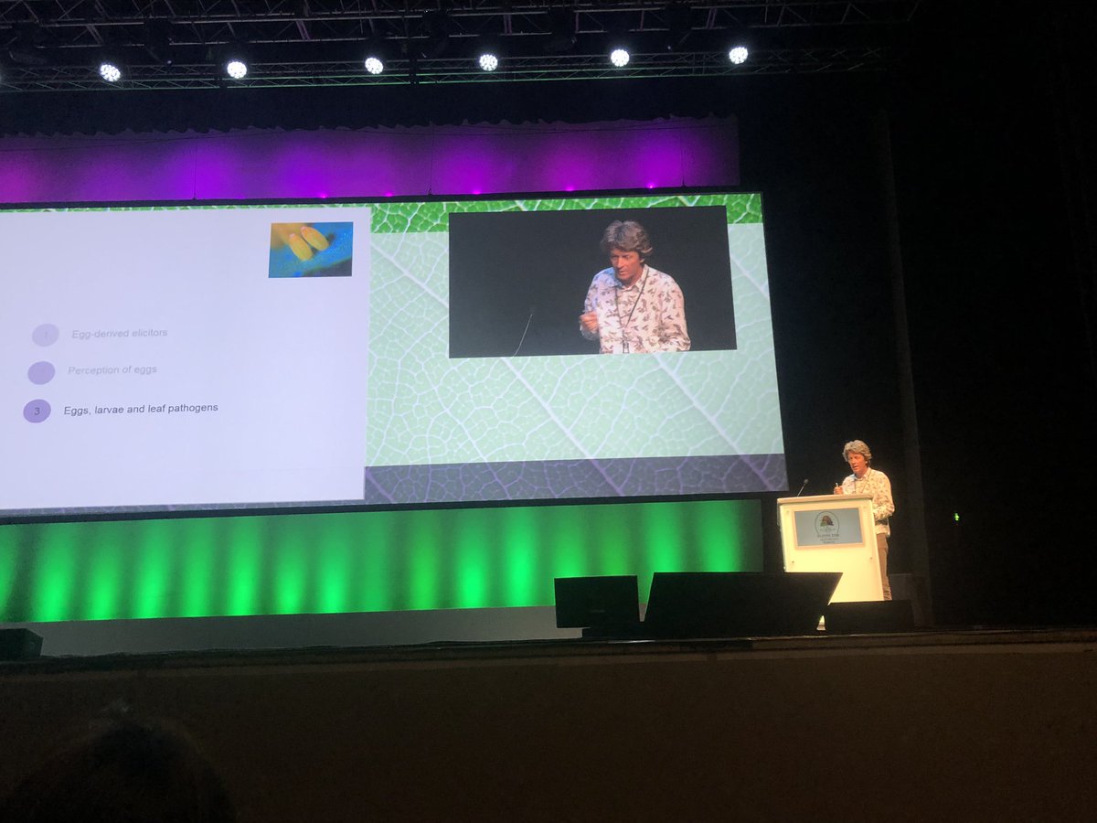 NikoGeldner's tweet photo. My great colleague @ReymondPhilippe talking about his thought-provoking work on egg perception in plants #ICMPMI2019 https://t.co/JrmTTnTV8P
