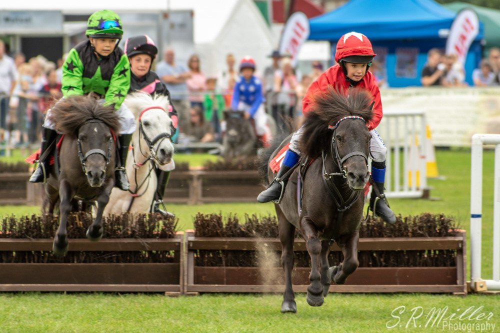 CartmelShow's tweet photo. Have you heard? The Shetland Grand National is coming to Cartmel Show on Wed 7 Aug! Our main ring will be home to these versatile little ponies for 1 day only, so come &amp; see them do their thing! Discounted tickets won't be around for long - get yours now! https://t.co/OlTx3E8u6n https://t.co/OFrADowCEz