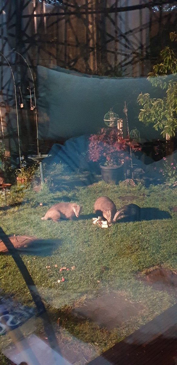 Save OUR Valley Lees, Springhead & Grotton🍃💚🍃 tweet media